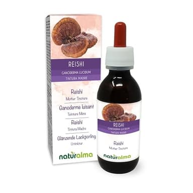 Reishi (Ganoderma lucidum) cogumelo Tintura Mãe sem álcool Naturalma - Extrato líquido gotas 120 ml - Complemento alimentar - Vegano